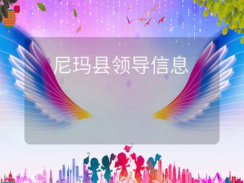 尼玛县领导信息